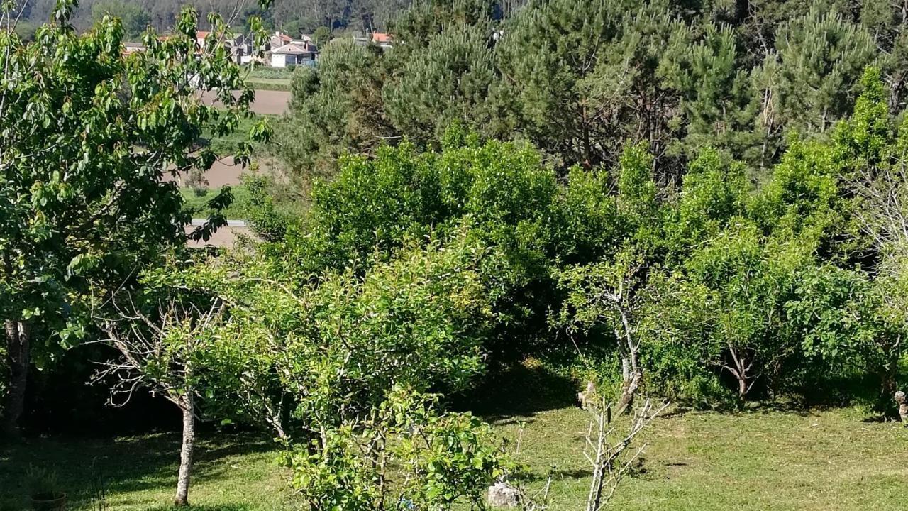 Vakantiehuis Luz Da Lua - Casa Del Campo *